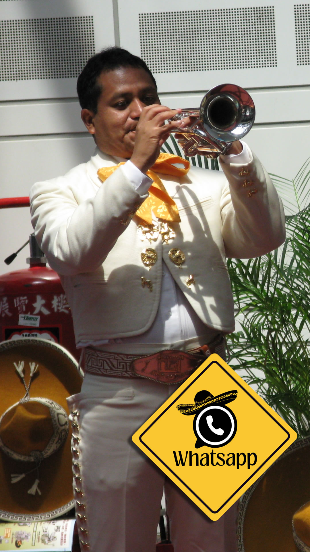 Mariachis cerca de mí en la Ciudad de México