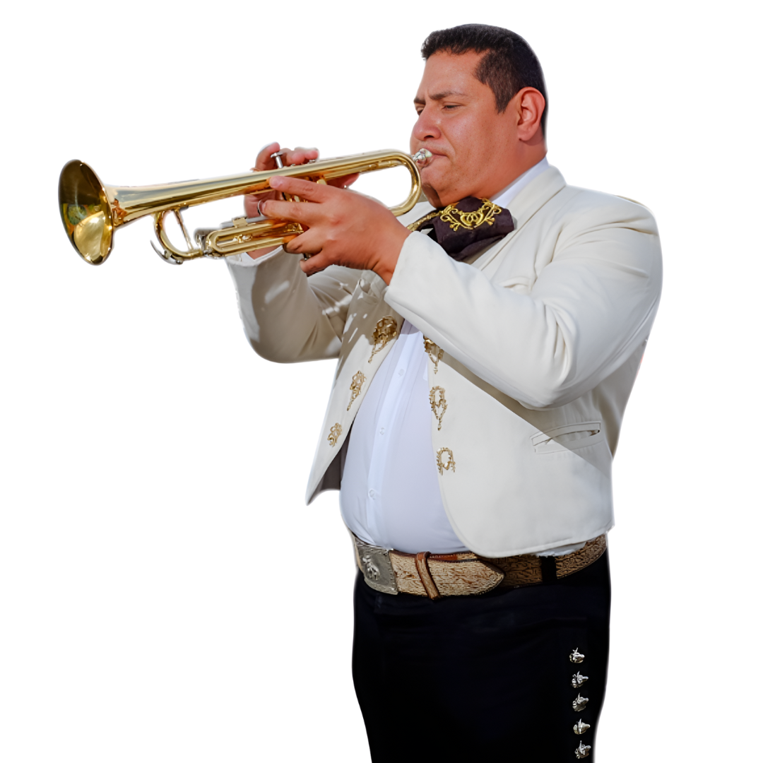 Mariachi en Venustiano Carranza